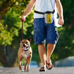 Pet Training Package Surfing Days Are Awesome Days White One Size