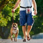 Pet Training Package Miami Beach Its Beach Life White One Size