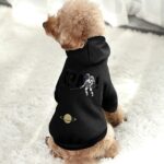 Pet Suit with Hat Astronaut Fashion Spaceman 37