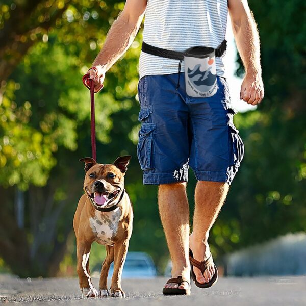 Pet Training Package Waves And Winds Is Everything White One Size