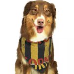 Pet decorative triangular scarf for cats and dogs brooklyn