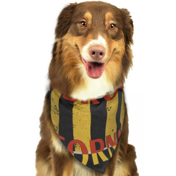 Pet decorative triangular scarf for cats and dogs brooklyn