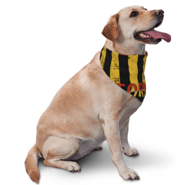 Pet decorative triangular scarf for cats and dogs brooklyn