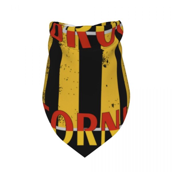 Pet decorative triangular scarf for cats and dogs brooklyn