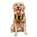 Pet decorative triangular scarf for cats and dogs brooklyn