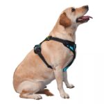 Pet traction vest light NY86 black