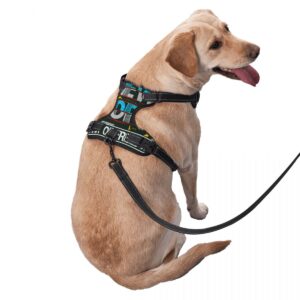 Pet traction vest spirit of freedom black