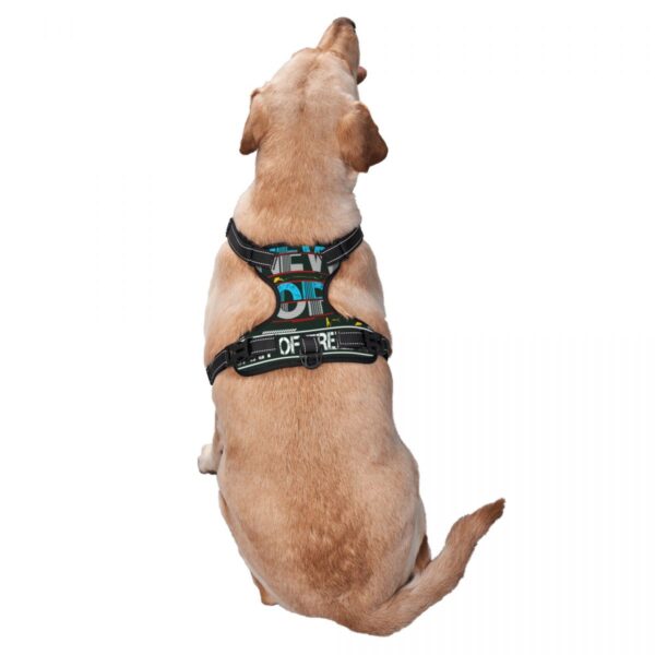 Pet traction vest spirit of freedom black