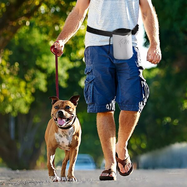 Pet Training Package Surf Like There Is No Tomorrow White One Size