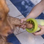 Dog Paw Cleaner ??C Portable Pet Paw Washer & Scrubber