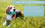 Chew Loving Dog Toys Heavy-duty Dog Toys for All Sizes