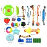 Dog Toys Set 25pc Chew Toys for Cleaning & Teeth Cleaning