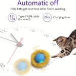 Whisker Wizard Toy Rechargeable Interactive Cat Toy, Motion-Activated