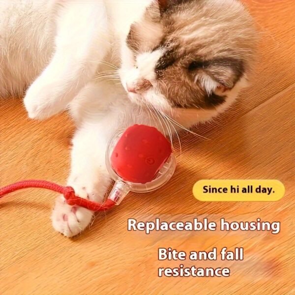Smart Electric Cat Ball 1/2pc USB Rechargeable Rolling Pet Ball w/LED