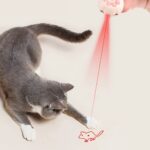 7-in-1 Cat Toys USB Rechargeable Teaser Toy for Cats/Dogs