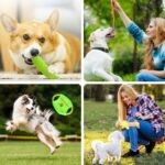 Dog Toys Set 25pc Chew Toys for Cleaning & Teeth Cleaning