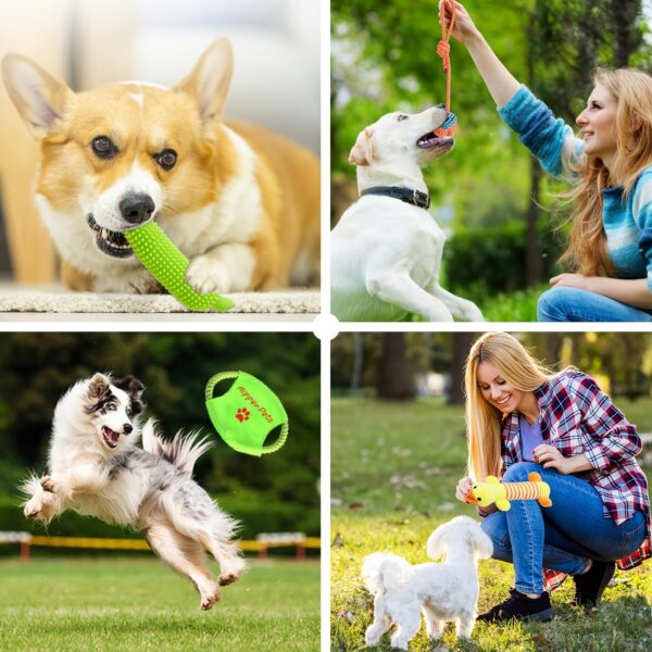 Dog Toys Set 25pc Chew Toys for Cleaning & Teeth Cleaning