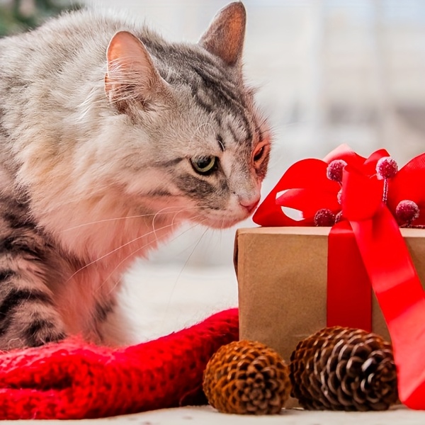 7-in-1 Cat Toys USB Rechargeable Teaser Toy for Cats/Dogs