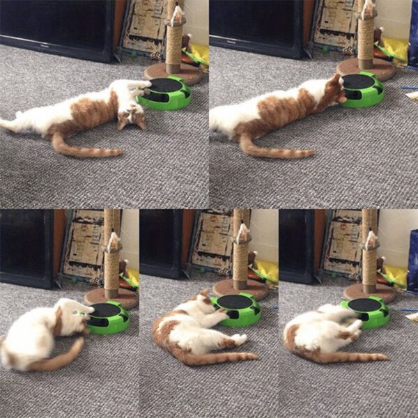 Interactive Cat Scratch Toy 360?? Rotating Cat Scratch Board w/Hidden Mouse