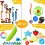 Dog Toys Set 25pc Chew Toys for Cleaning & Teeth Cleaning