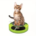 Interactive Cat Scratch Toy 360?? Rotating Cat Scratch Board w/Hidden Mouse