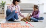 Smart Electric Cat Ball 1/2pc USB Rechargeable Rolling Pet Ball w/LED