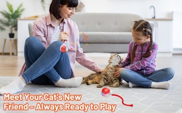 Smart Electric Cat Ball 1/2pc USB Rechargeable Rolling Pet Ball w/LED