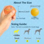 Dog Bouncing Ball Smart Puppy Ball w/Flashing Lights, USB Rechargeable