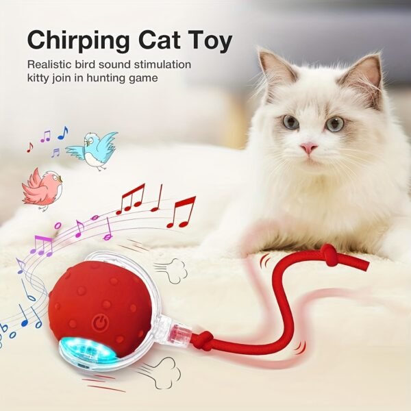 Smart Electric Cat Ball 1/2pc USB Rechargeable Rolling Pet Ball w/LED