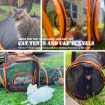 6-in-1 Pet Playpen Foldable Cat/Dog Playpen w/Tunnel & Tent