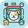Pet toys
