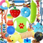 Dog Toys Set 25pc Chew Toys for Cleaning & Teeth Cleaning