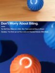 Intelligent Jumping Ball Toy Electric Charging Cat/Dog Self-rolling Ball