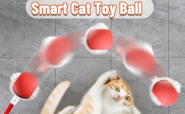 Smart Electric Cat Ball 1/2pc USB Rechargeable Rolling Pet Ball w/LED