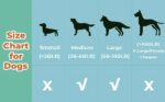 Chew Loving Dog Toys Heavy-duty Dog Toys for All Sizes