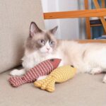 Cat Toys Fish Catnip-Filled Interactive Kitten Kicker, 1 Pack