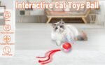 Smart Electric Cat Ball 1/2pc USB Rechargeable Rolling Pet Ball w/LED
