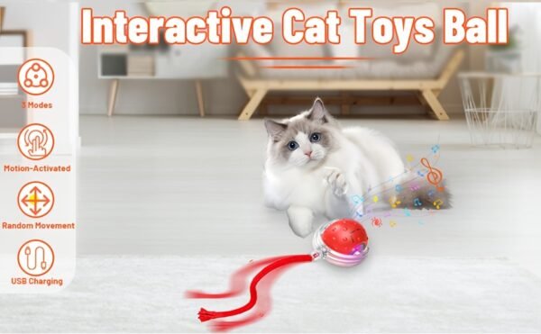 Smart Electric Cat Ball 1/2pc USB Rechargeable Rolling Pet Ball w/LED