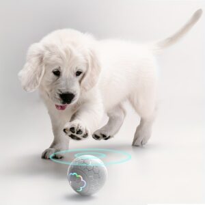 Dog Bouncing Ball Smart Puppy Ball w/Flashing Lights, USB Rechargeable